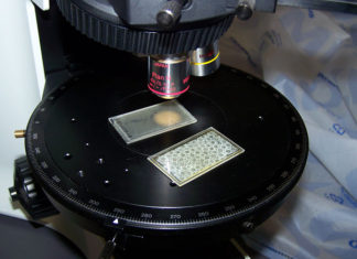 Microscopio luz polarizada